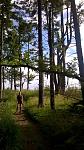 WP_20160710_08_32_27_Pro.jpg