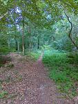 Trails 001.jpg