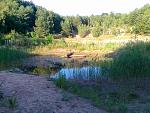 Trails 011.jpg