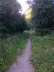 Trails 017.jpg