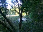Trails 018.jpg