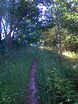Trails 019.jpg