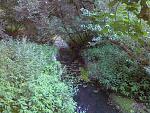Krebsbach_Ahlum_Hittbergen 001.jpg
