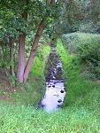 Krebsbach_Ahlum_Hittbergen 004.jpg