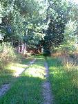 Trails 001.jpg