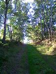 Trails 002.jpg