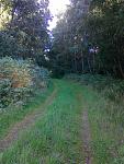 Trails 003.jpg
