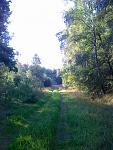 Trails 004.jpg