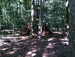 tipi.jpg