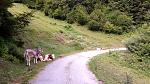 IMG-20160724-WA0000.jpeg