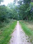 Laufstrecke 002.jpg