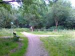 Laufstrecke 003.jpg