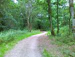 Laufstrecke 005.jpg