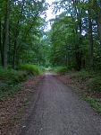 Laufstrecke 006.jpg