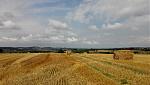 IMG_20160731_105649k.jpg