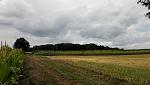 IMG_20160731_125820k.jpg