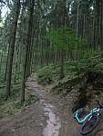 P1020458a.jpg