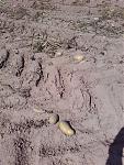 20160807_105807.jpg