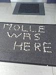 IMG-20160807-WA0000.jpg