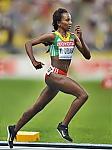 tiruneshdibaba.jpg