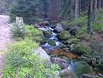 Jahresurlaub Harz 046.jpg