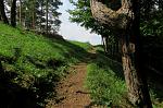 IMG_3976.JPG