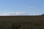 IMG_3998.JPG