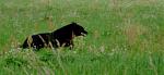 2006_08140058.JPG