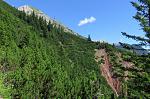 IMG_4245.JPG