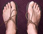 20160818_171337a.jpg