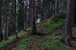 IMG_4351.JPG