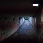 DSC_0079a.JPG