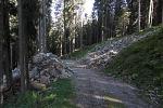 IMG_5549.JPG