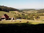 Zaehringer burg 1.jpg