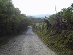 IMAG0029.JPG
