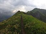 DSC04029(1).JPG
