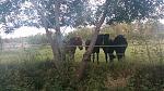 IMG_20160924_161301.jpg