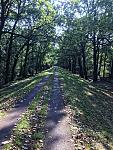 thumb_IMG_0890_1024.jpg