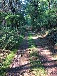 thumb_IMG_0891_1024.jpg