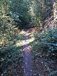 thumb_IMG_0894_1024.jpg