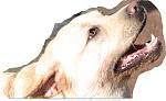 Tr_Ausschnitt.jpg