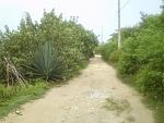 IMAG0018.JPG