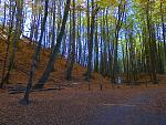 Rügen 005.jpg
