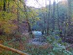 Rügen 007.jpg