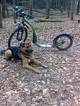 molle handy 20.04.2014 020.jpg