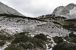 IMG_0725.JPG