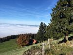 IMG_2152.jpg