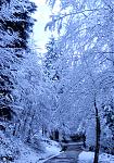 IMG-20161107-WA0009.jpeg
