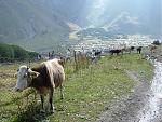 4 Kazbegi-Marathon Georgien.jpg