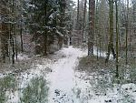 LG_Heide 003.jpg